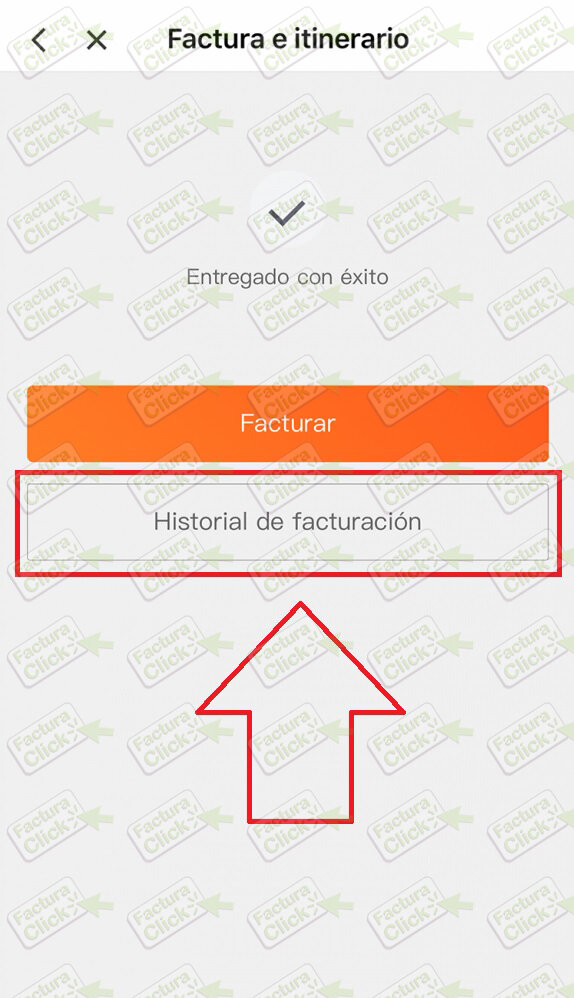 Facturación para Usuarios DiDi