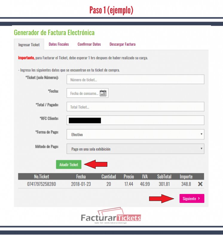 Paso 2: Ingresar los Datos del Ticket