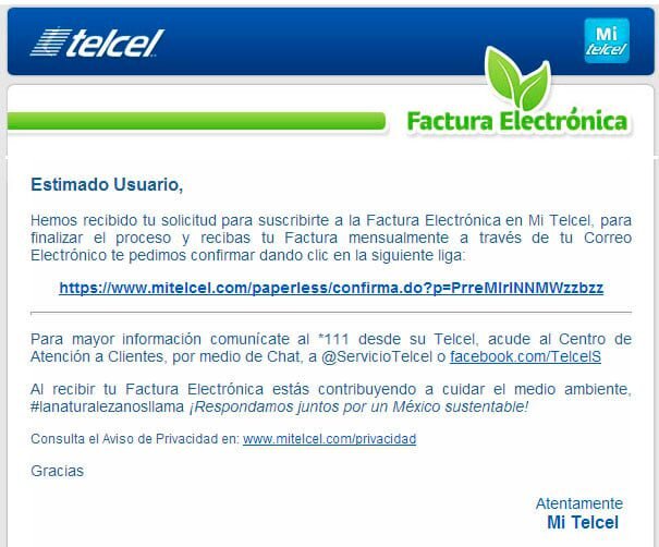 Paso 4: Descarga tu Factura