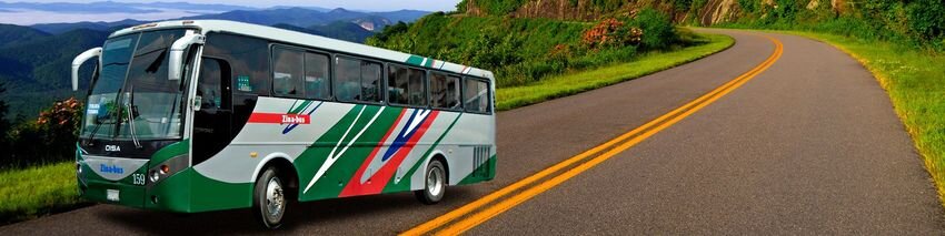 ¿Qué es Zinabus y por qué usarlo para la Facturación?
